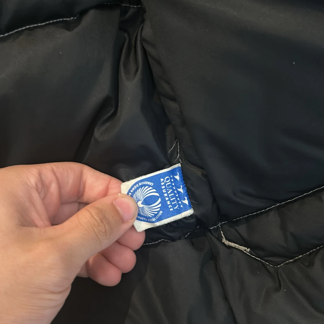 Canada goose vest - 91