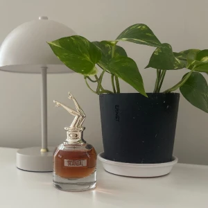 Parfym - Scandal i 50ml ifrån Jean Paul Gaultier. Endast testad 2-3 gånger nypris ligger omkring 800-1000kr, Mitt pris är 600kr men det går att diskutera om så önskas.
