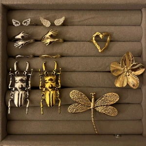 Ring - Vingar - Reglerbar storlek❣️❣️