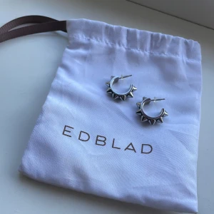 Peak Creoles örhängen från Edblad - Rostfritt stål (går att bada, träna i osv.) nypris 399kr, mycket bra skick, använt fåtal gånger. Säljer pga att jag bytt till guld💞