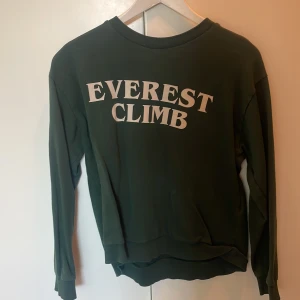Grön sweatshirt från Zara - Grön crewneck\sweatshirt  Använd Inga skador eller fläckar 