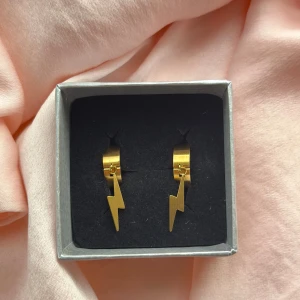 Blixt-örhängen - Snygga örhängen av guldpläterat stål. Använt endast 3 gånger då de inte riktigt är min stil, så bra skick. Köpta för 298kr på Ur&Penn för ca 1 år sedan, finns dock ej i affär längre. De är ordentligt rengjorda. Den lilla asken medföljer 💕