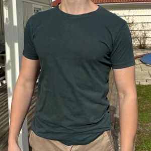 Esprit t-shirt - T-shirt från Esprit, grönaktig i färgen. Fint skick, inte så mycket använd