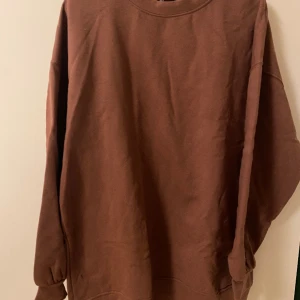 Tröja - Säljer en tröja från Zara  Den är rosa/brun 