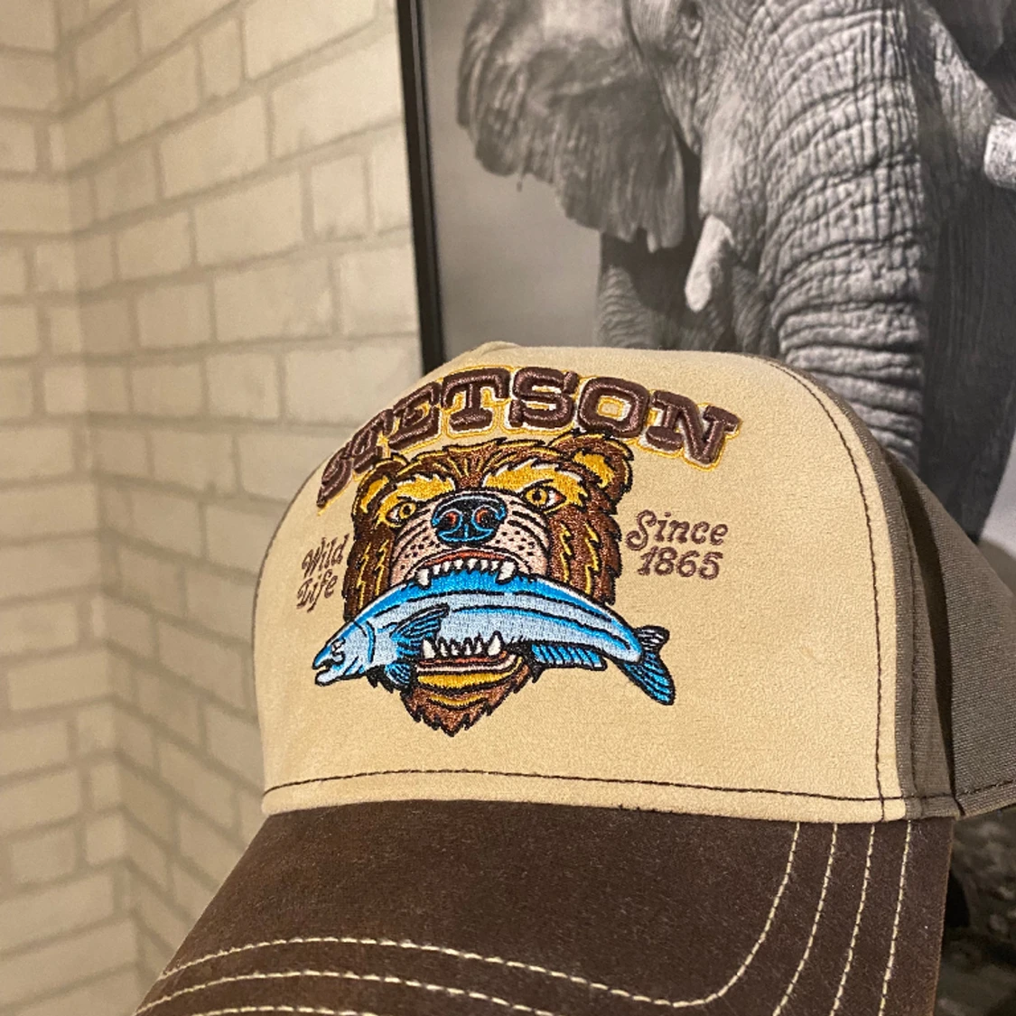Stetson Wild Life cap