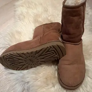 Knappt använda. Superfina Uggs i den trendiga bruna färgen. 