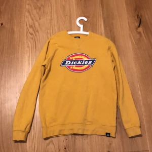 Dickies sweatshirt  - Nyskick fick den i julklapp för 2 års sen och har inte andvänt den så mycket ( kan sänka priset)