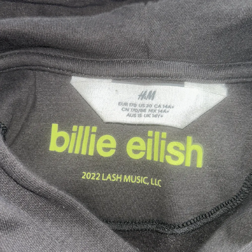 billie eilish hoodie från h&m i barn storlek, men skulle säga att den sitter som s/m. den är lite oversized. skriv innan du köper💕. Hoodies.