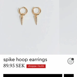 Spike hoop örhängen - Säljer nu dessa populära och slutsålda örhängena från Gina Tricot. Helt nya, aldrig använda. Säljs för 90 kr