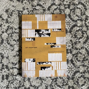 KPOP ALBUM STRAY KIDS - Säljer denna album från STRAY KIDS!! Allt är i bra skick. Albumet inkluderar allt photocards, special page och cd. 