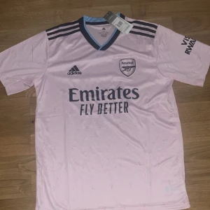 Arsenal tröja 22/23 - Arsenals tredjeställ från säsongen 2002/2023. Tröjan är storlek M och har aldrig använts. Skriv i Dm vid intresse eller andra frågor. /Filip 