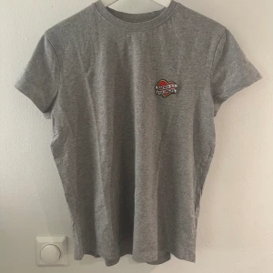 Zadig t-shirt  - Grå t-shirt från Zadig inte mycket använd, storlek S