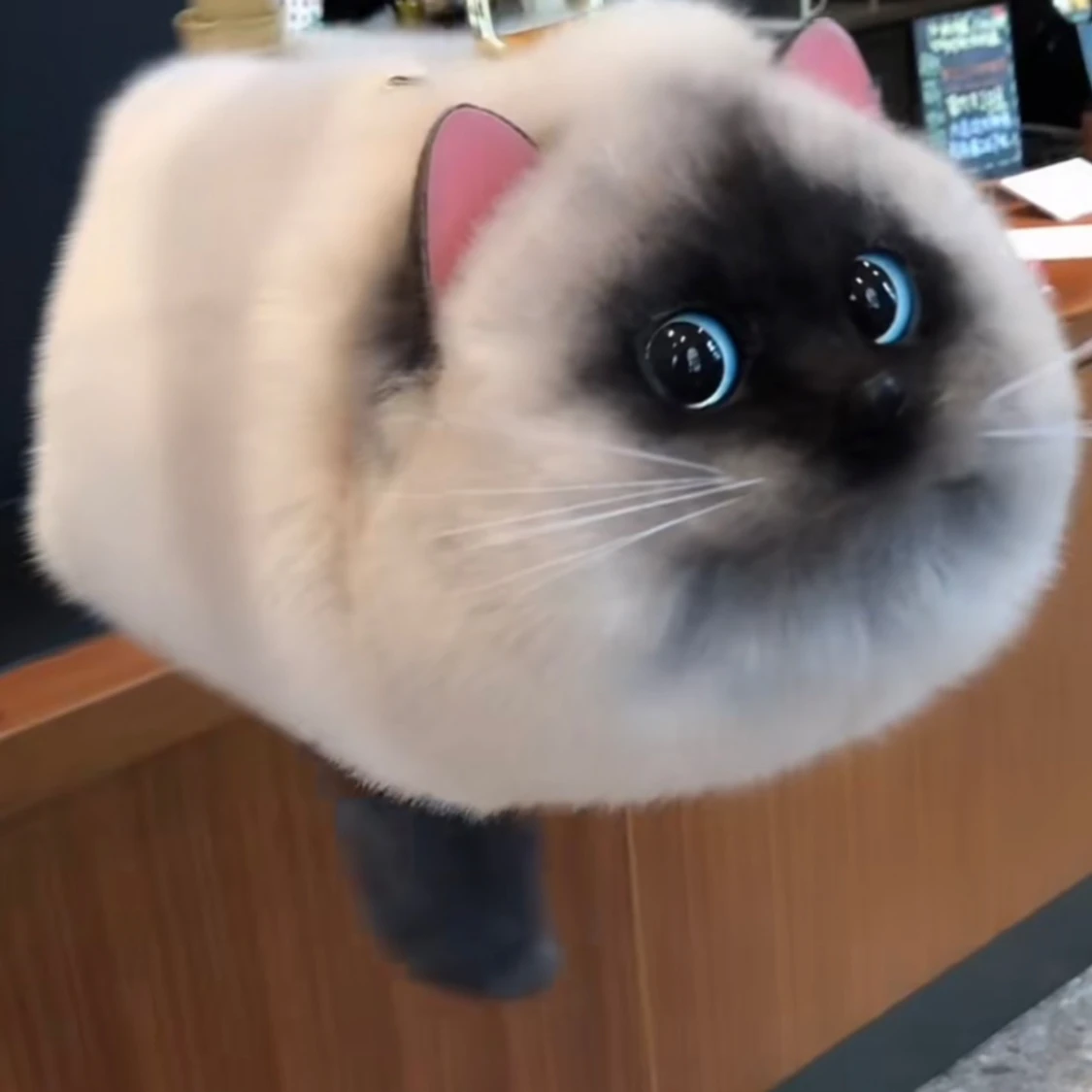 Unik kattväska för tjejer - 91