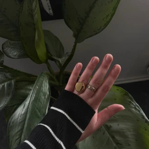 Guldpläterad klackring 14k - Aldrig använd! Killgissar på att storleken är en 17-17.5.