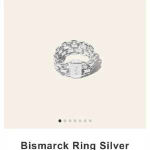 ANI bismarck ring  - Säljer min fina bismarck ring från ANI jewels i strl 17 🫶🏽 köpt för 950kr och den är i 925 sterling silver! 