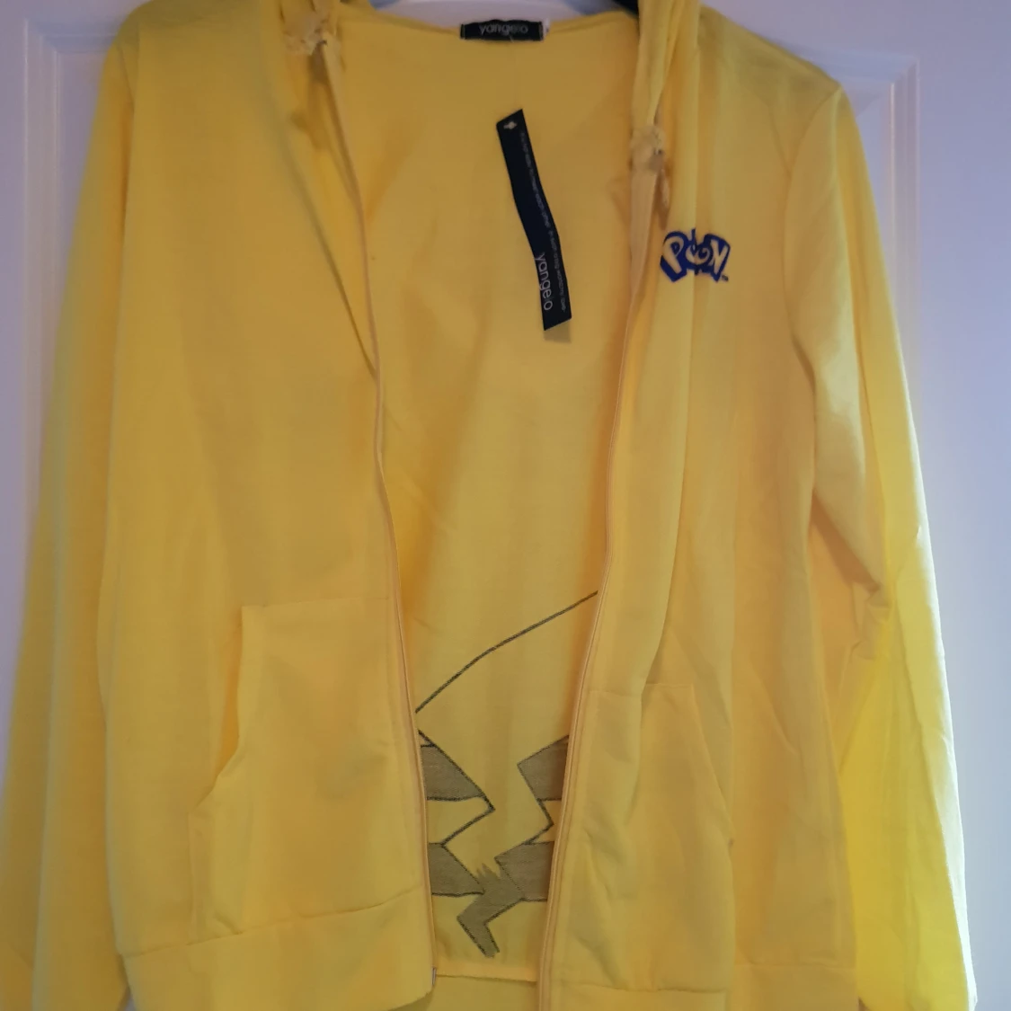 Pokémon kofta/hoodie