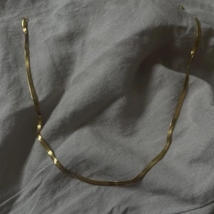 Evelina necklace rostfri  - Halsband i Ion plated 304 Stainless steel 🩷