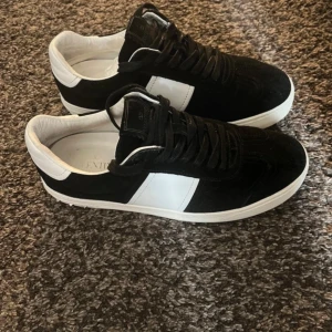 Valentino flycrew - flycrews jävligt bra skick, en nit har ramlat av. Släpper billigt jämfört med andra i samma skick. Passar mig som har storlek 42-43, kan byta mot baslåda till bil