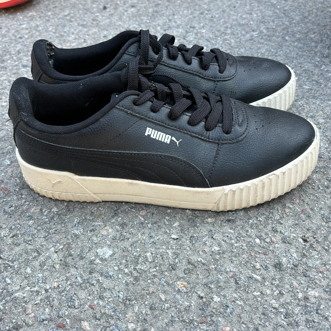 Puma 39