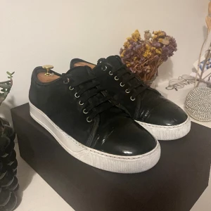 Lanvin  - Uk 8 passar 43/44, skicket är bra men finns små defekter på toe, sulan är om målad hos skomakare, lådan på bilden hör till andra skor