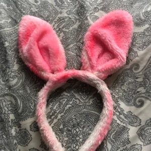 Rosa Kannin öron - Gjorda för Halloween. Det är rosa "hårspray". Så kan förmodligen tvättas bort om man vill ha vita ist