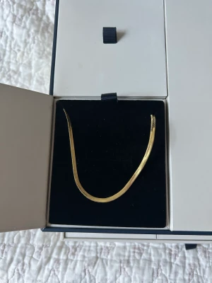 Halsband från Muli collection  - Ett helt nytt halsband från Muli collection. I modellen Thin snake Cain necklace.  Nytt pris är 499kr  Säljer för 300kr 