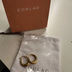 Örhängen - Supersnygga örhängen från Edblad, helt nya använda 1 gång. Säljer pga att jag hade tappat bort mina men sedan hittade dem igen efter att redan ha fått hem de nya. Köpta för 400kr säljer för 300kr. Kan släppa för 250kr vid snabb affär. 