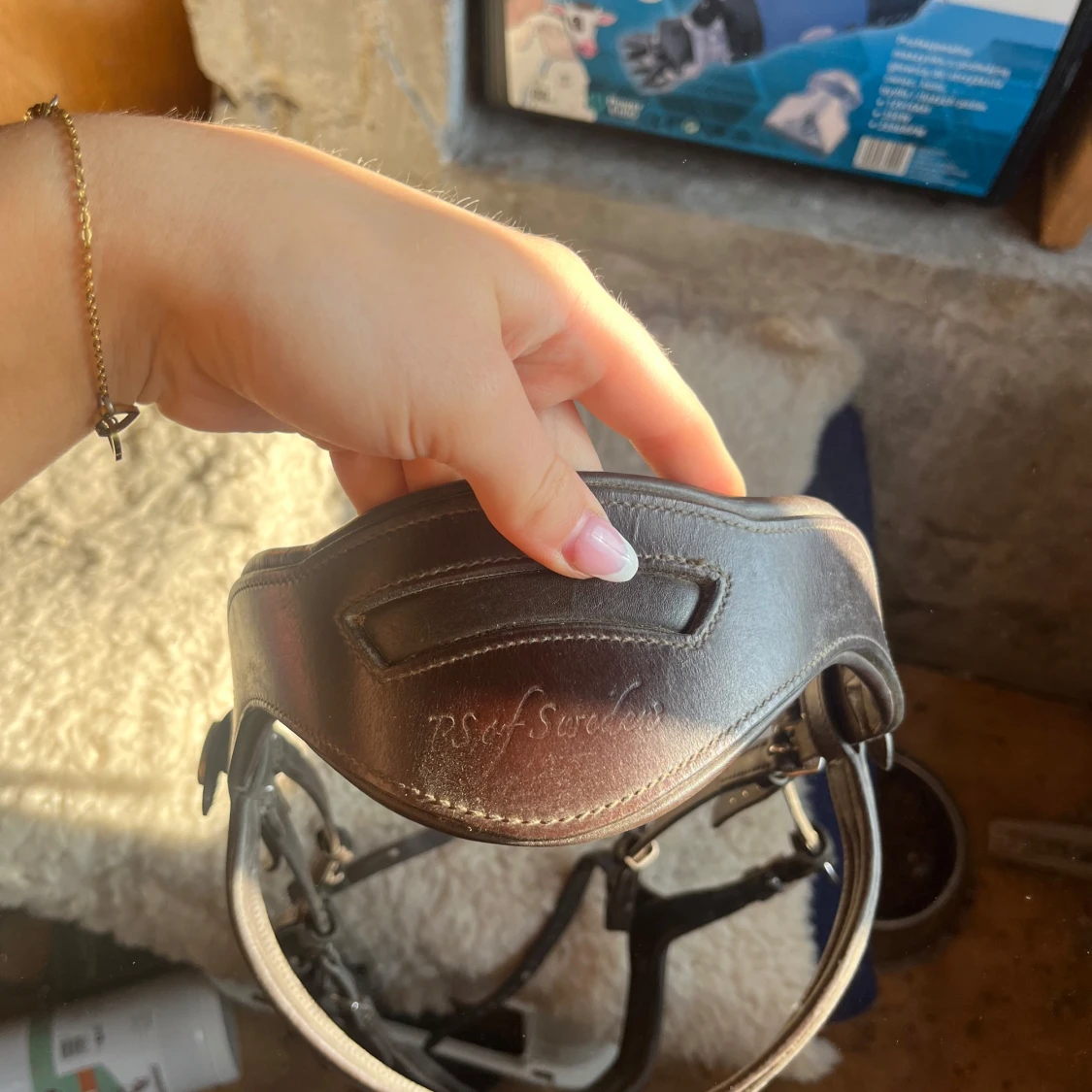 Brunt träns från PS of Sweden - 1