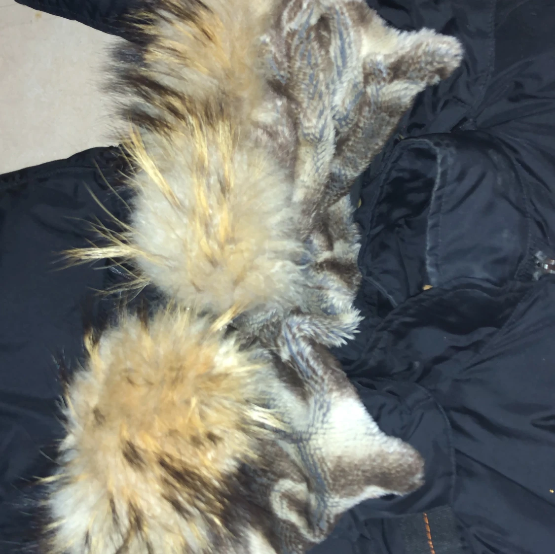 Svart Parajumpers dunjacka med fuskpäls - 4