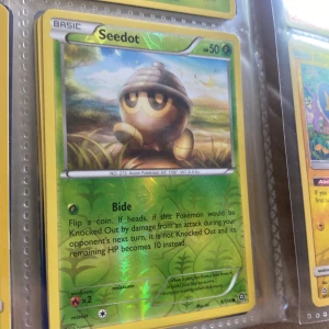 Pokémonkort: Seedot, Shinx, Lucario & Machop (samling) - Det är en Seedot reverse holo 9/114, Shinx reverse holo 45/156, Lucario reverse holo 47/124, Machop holo 57/108, Machop reverse holo 44/111. Skriv för fler bilder eller om du vill prata om pris