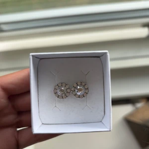 Lily and Rose örhängen med stenar - Säljer ett par snygga örhängen i silverfärg med rund form. De har en stor glittrande sten i mitten och är omgivna av mindre stenar. Köpta från Lily and Rose.💓