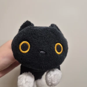 San-X Kutusita Nyanko pennskrin - Mest legat och dammat. 