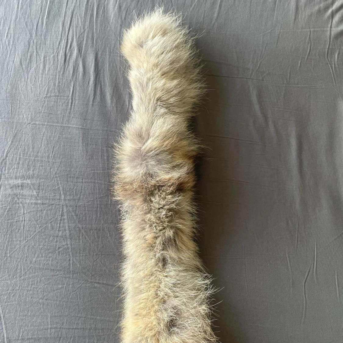 Svart dunjacka från Canada Goose med huva - 3