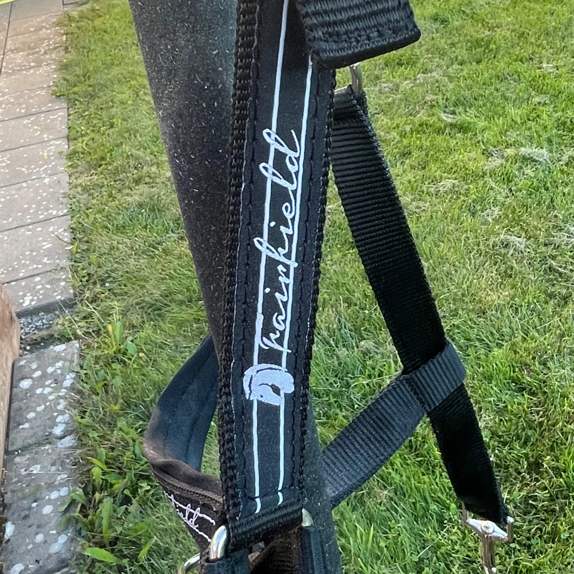 Svart grimma från Fairfield COB - 3