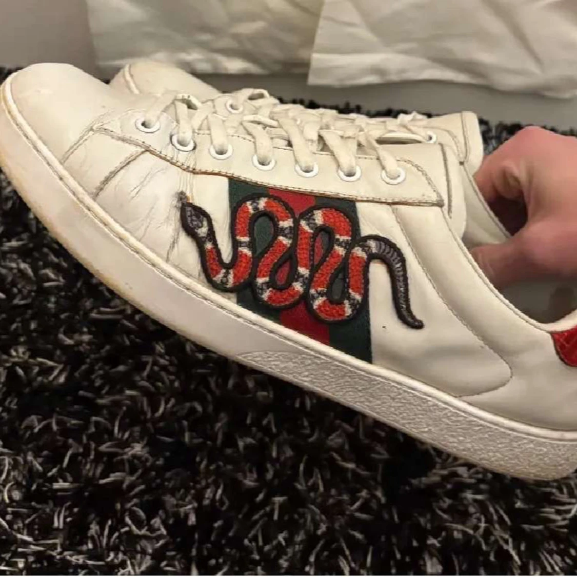 Gucci Ace