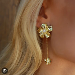 Ioaku örhången  - Bra skick    