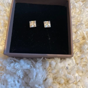 Kvadratiska örhängen i silver - Snygga kvadratiska örhängen i silver med en glittrig finish. Perfekta för att ge en elegant touch till din outfit. Rostfritt stål