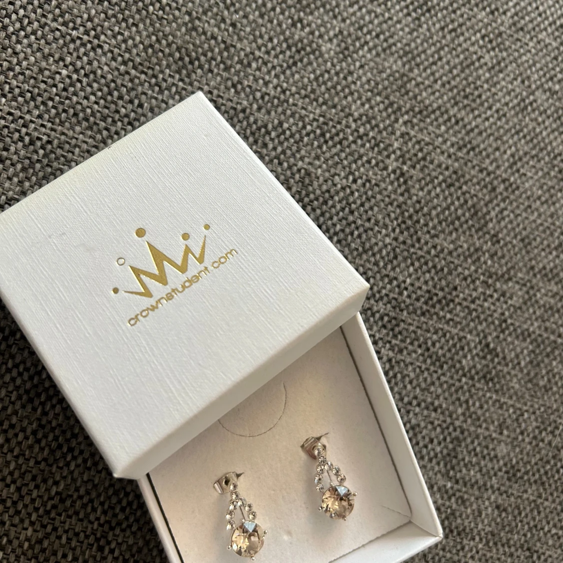 Silverfärgade örhängen från CrownStudent - 1