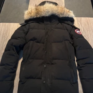 Svart dunjacka med pälsdetalj - Säljer en svart dunjacka från Canada Goose med pälsdetalj på huvan. Jackan har långa ärmar och knappar framtill. Perfekt för kalla dagar.