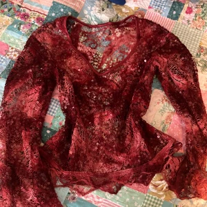 Röd glittrig spetströja - Superfin röd see-through långärmad tröja i spets med paljetter och v-ringning. Köpt på vinted men aldrig använd av mig! Varken märket eller storleken står men skulle säga att den är i M. Pris går att diskuteras