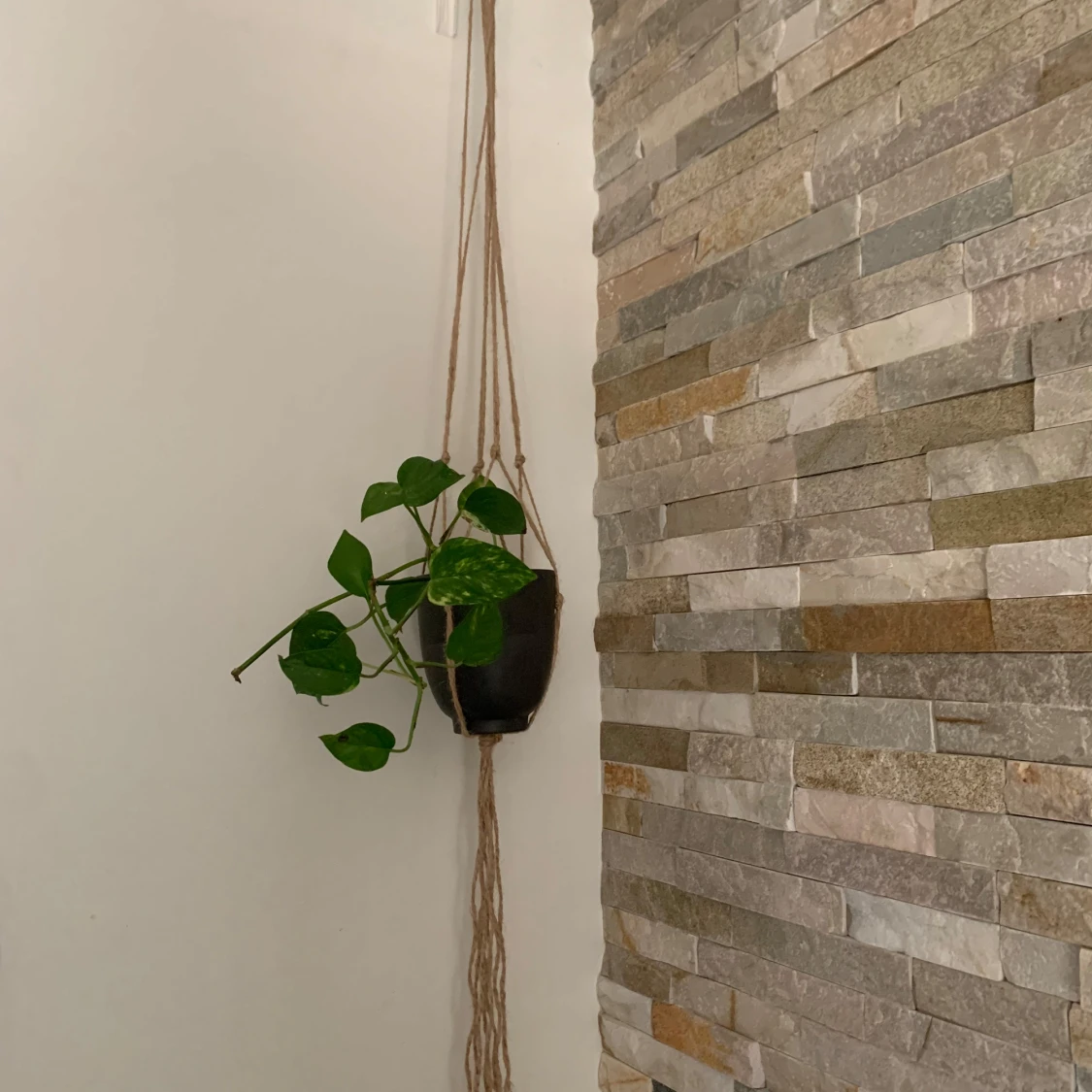 Brun ampel / växthängare snygg inrednings detalj . Perfekt att hänga i fönster eller vägg .