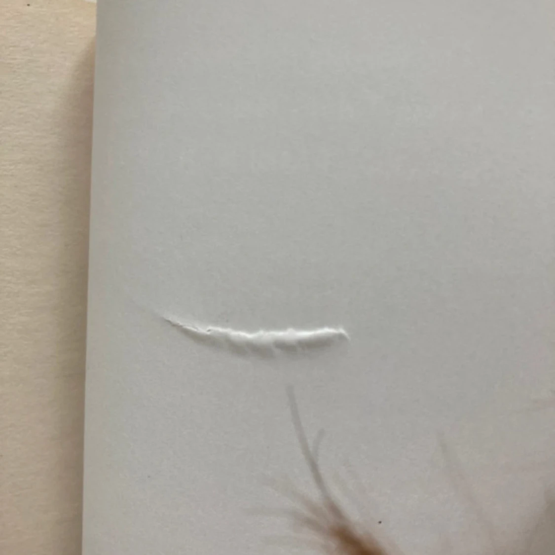 An ember in ashes  - 3