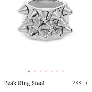 Peak Ring Steel silverring med nitar - Cool och chunky ring i blankt stål med flera spetsiga nitar på ovansidan. Ringen har en bred design och en riktigt edgy vibe, perfekt för dig som gillar statement-smycken. Färgen är silver och materialet är stål.