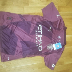 Man City 24/25 third - Storlek S. Medföljer tagg. Nyskick 