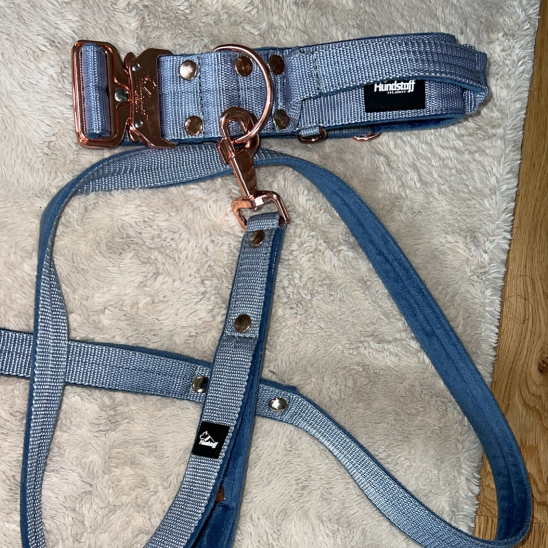 Hundstaff halsband och koppel