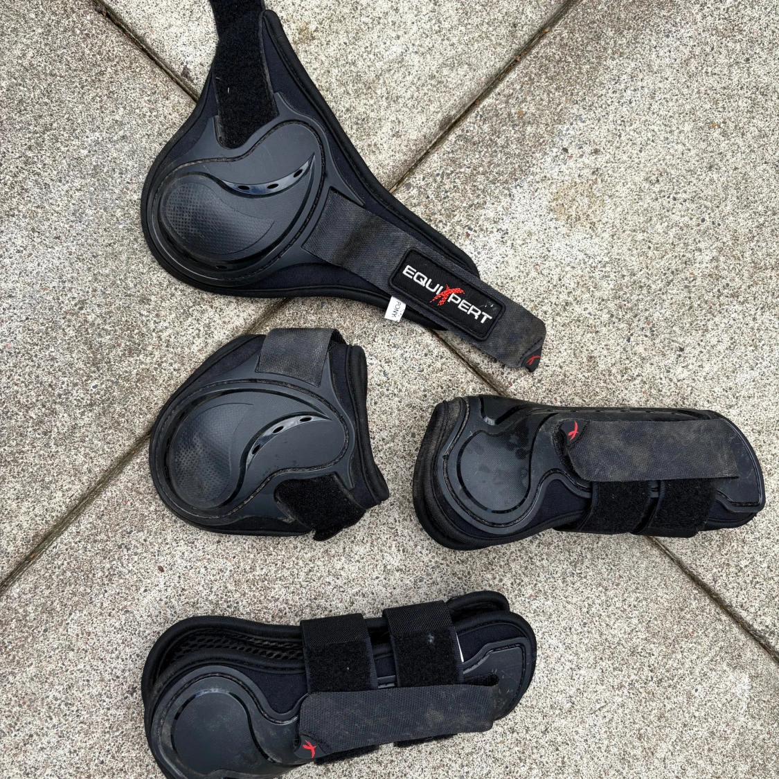 Svarta benskydd från EquiXpert