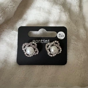 Silvriga pärlörhängen  - Helt nya! 