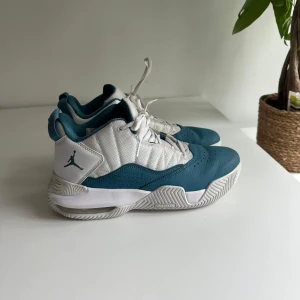 Air Jordan 23 sneakers (storlek 41) - Snygga Jordan sneakers i vitt och teal med klassisk Jumpman-logga på hälen och sulan. Skorna har snörning, perforerade detaljer och en robust sula med bra grepp. Ovandelen är i textil och skinn för en sportig vibe. Perfekta för dig som gillar streetstyle och basketinspirerat mode.