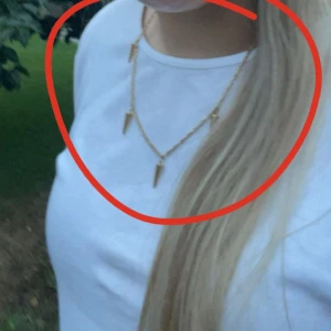 Guldigt halsband från Edblad med nitar - Säljer detta fina halsband från Edblad då jag inte får nån användning för det längre