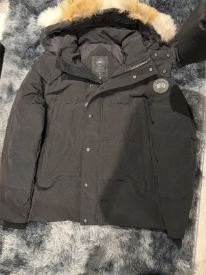 Canada Goose black wyndham black logo - Size M, true to size